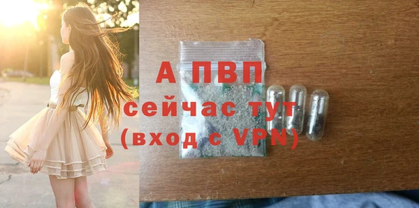 гидра Баксан
